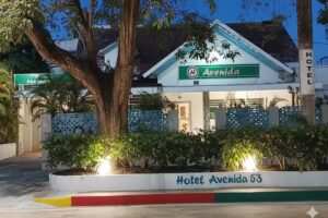 Hotel Avenida 53
