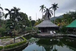 Hotel Boutique Caba&ntilde;as El Para&iacute;so