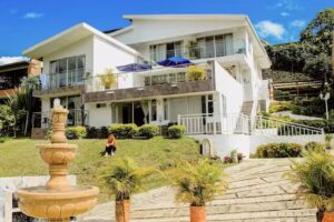 HOTEL BOUTIQUE PALMAS DE SALENTO