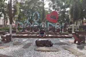 Hotel Buddha Mystic By Del Toro