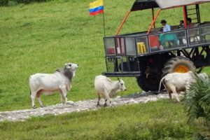 Hotel Campestre Maraná