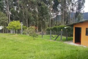 Hotel Canino Villa Guadalupana