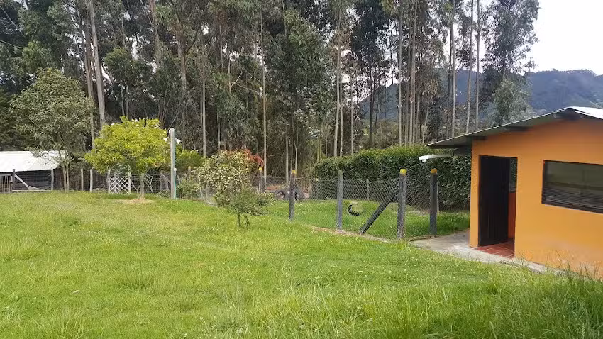 Hotel Canino Villa Guadalupana