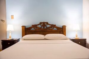 Hotel Centenario Park