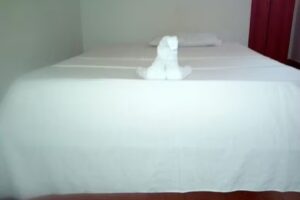 HOTEL CENTRAL PRIMAVERA VICHADA