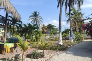 Hotel Dorado Plaza Punta Arena