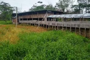 Hotel Dub&aacute;i (Bellavista)