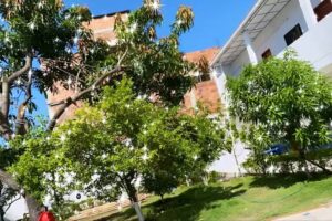 Hotel Ecuador de la 13