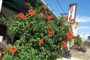 Hotel El Costeño