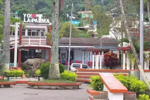 HOTEL EL FAROL PALMERO