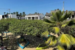 Hotel El Parque Mo&ntilde;itos