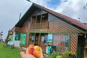 HOTEL EN GAMA CUNDINAMARCA &hellip;POSADA CAMPESTRE &rdquo; EL. BEJUCO &rdquo;