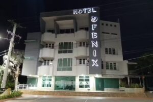 Hotel Fenix
