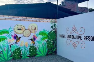 Hotel Guadalupe Resort