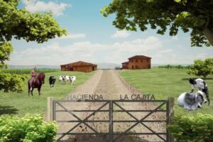 Hotel Hacienda la Palma