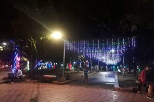 Hotel Halcón Dorado