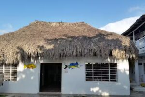 Hotel La Escolleritas