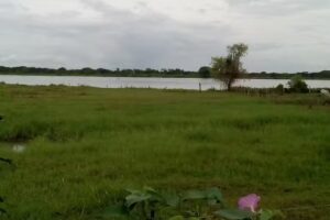 Hotel la Estaci&oacute;n