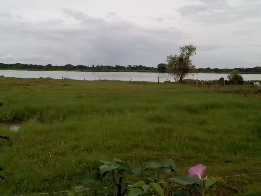 Hotel la Estaci&oacute;n