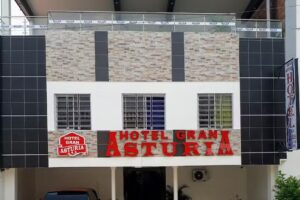 Hotel la Gran Asturia