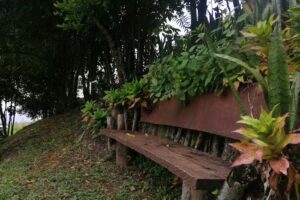 Hotel la Lomita de Rubencho