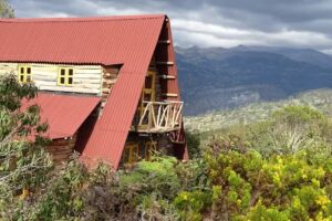 Hotel La Teja Experience