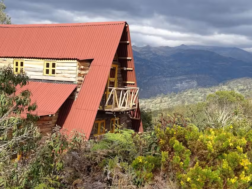 Hotel La Teja Experience