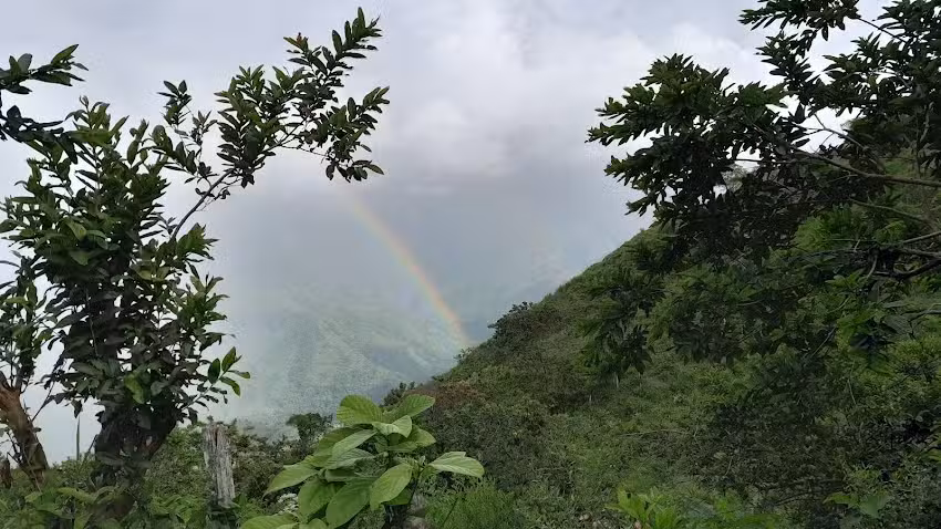 Hotel Las Hamacas Valdivia