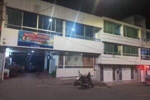 Hotel los panches SL