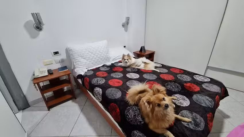 Hotel Manhattan Barbosa