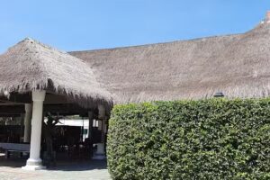 Hotel &ndash; MERCAGAN SAN ALBERTO