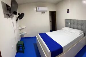 Hotel Milenium plaza