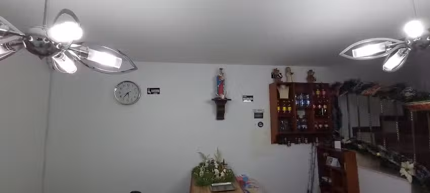 Hotel Orqu&iacute;dea