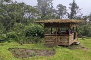 Hotel | Owls Watch at Rio Blanco | Avistamiento de Aves