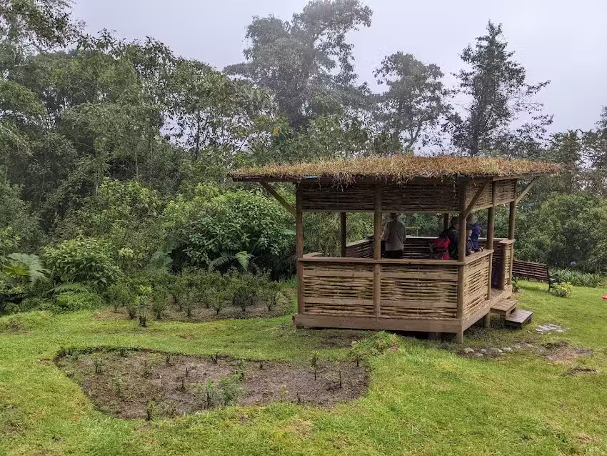 Hotel | Owls Watch at Rio Blanco | Avistamiento de Aves