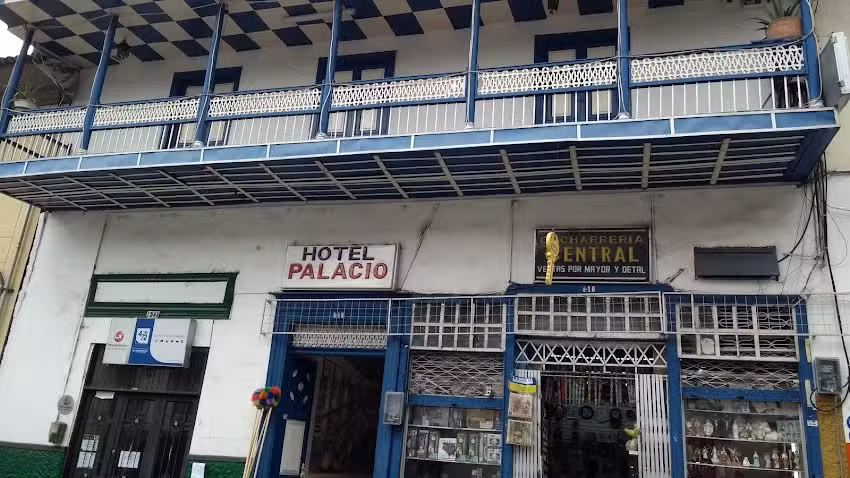 Hotel Palacio