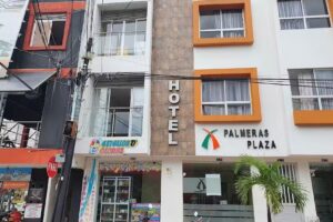 Hotel Palmeras Plaza