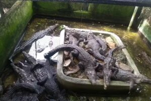 Hotel Rinc&oacute;n del Gaviero