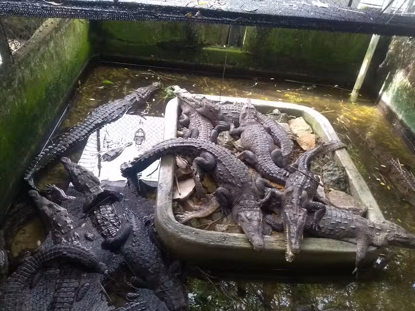 Hotel Rinc&oacute;n del Gaviero