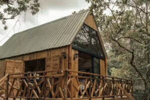 Hotel R&iacute;o Bosque