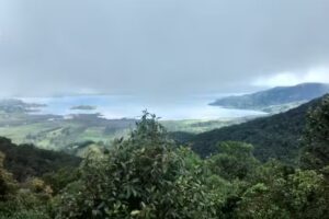 Hotel San Andrés – Tumaco – Hotel económico para vacaciones en Tumaco