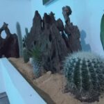 Hotel San Jer&oacute;nimo