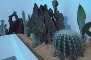 Hotel San Jer&oacute;nimo