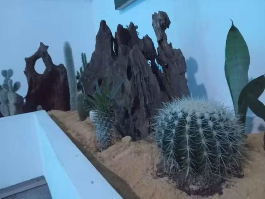 Hotel San Jer&oacute;nimo