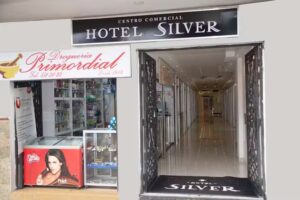 Hotel Silver Guarne