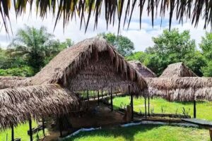 Hotel | Somdug / Karaná Nativa-Sonidos de la selva | agencia de turismo