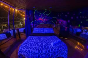 Hotel Tem&aacute;tico Madrid