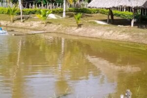 Hotel Villas de Pianguita