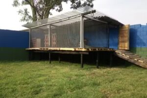 Hotel y Guarderia Canina y Felina EL RANCHITO