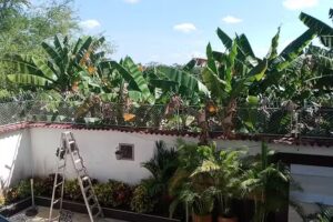 Hotel Zenit De Colombia